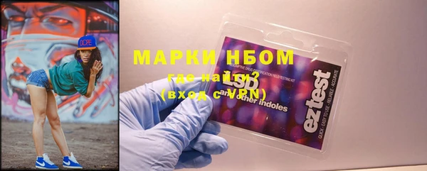 индика Алексин