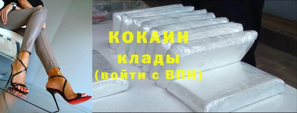 индика Алексин