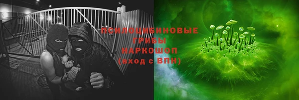 индика Алексин