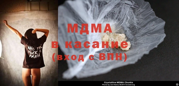 индика Алексин