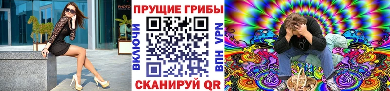 Псилоцибиновые грибы MAGIC MUSHROOMS  где можно купить наркотик  Сочи 